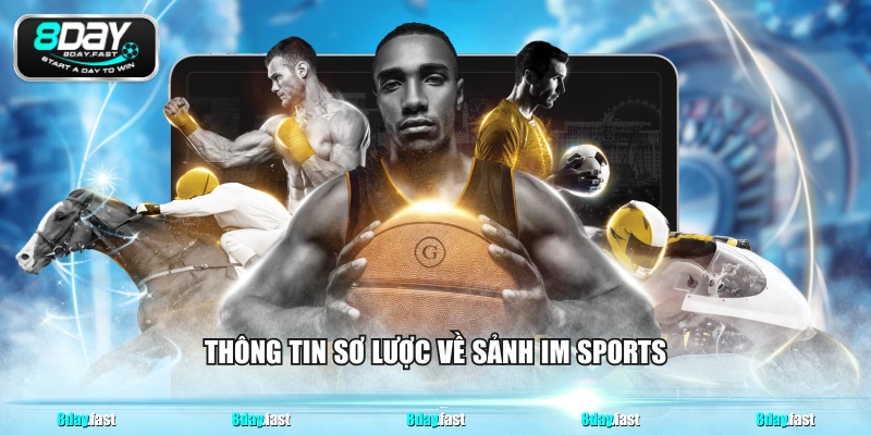 Thông tin sơ lược về sảnh IM sports